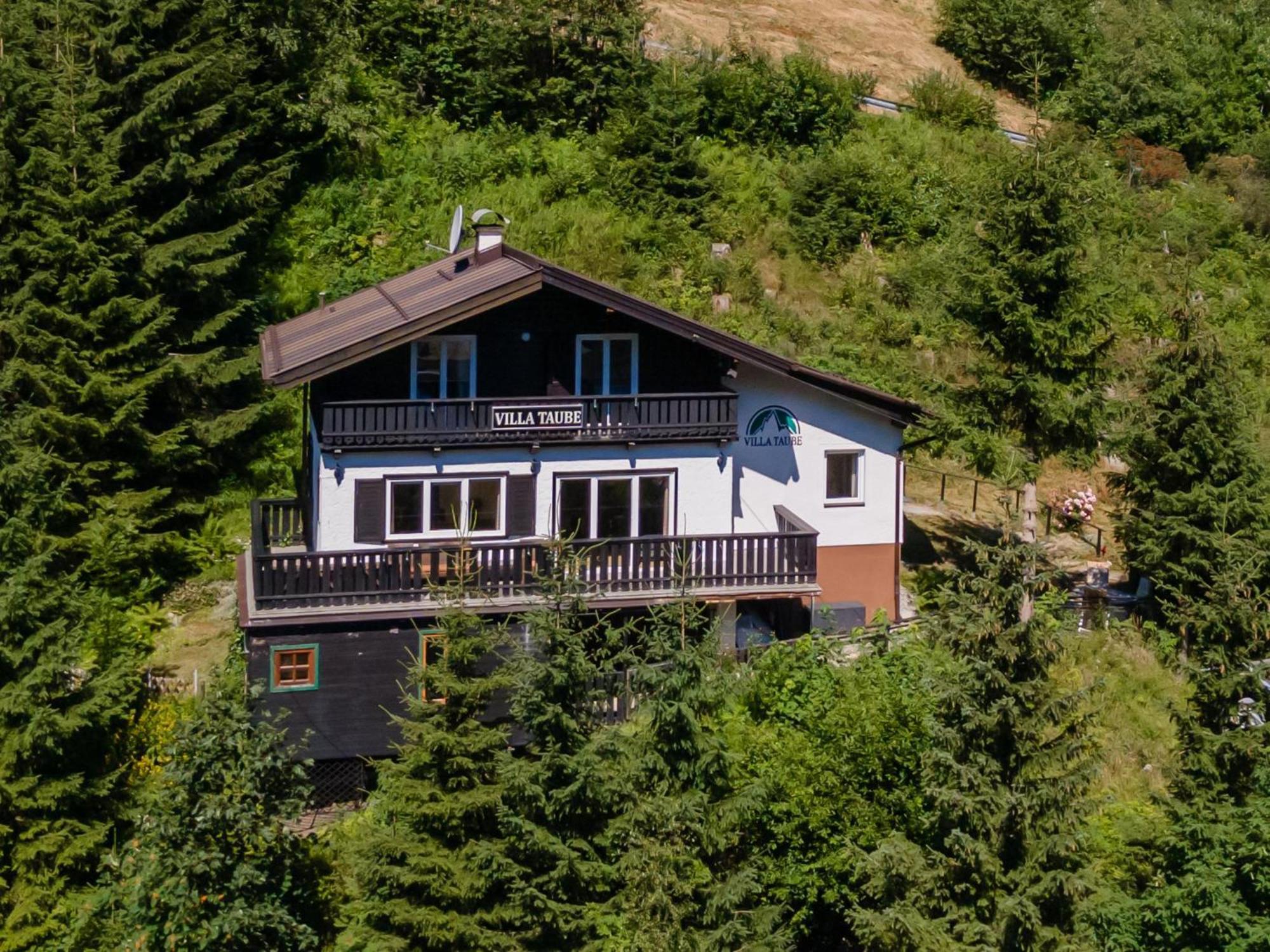 Villa Taube バードガシュタイン エクステリア 写真